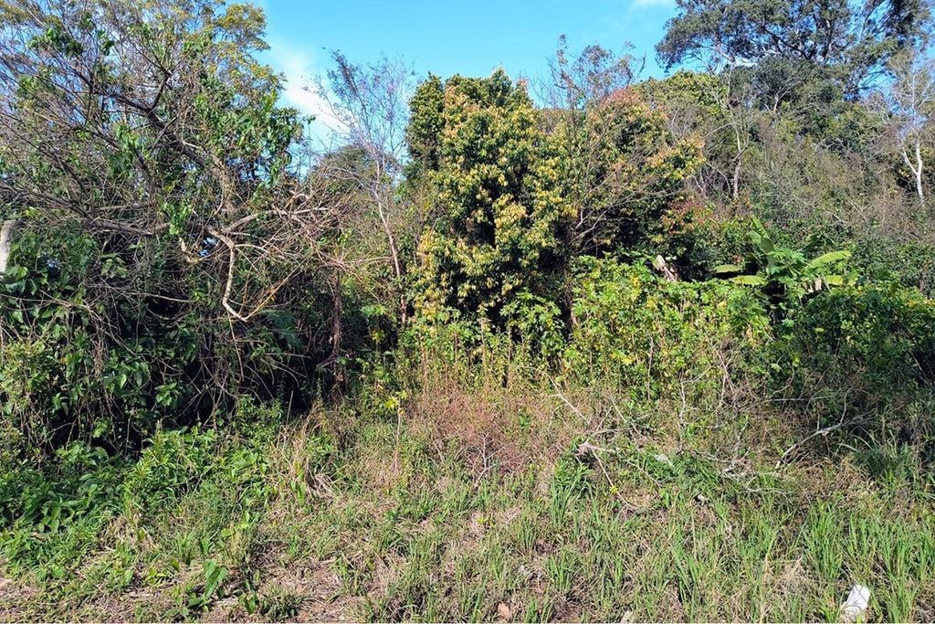Terreno, 261 m² - Foto 12