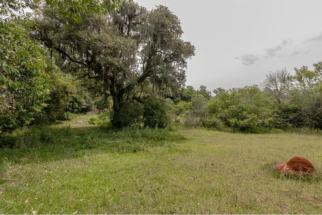 Terreno, 1 hectares - Foto 9