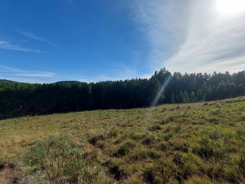 Fazenda, 1 m² - Foto 9