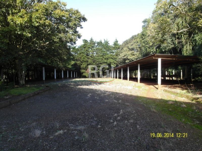 Terreno, 4 hectares - Foto 17