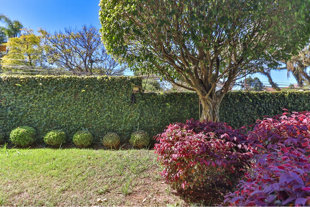 Casa, 4 quartos, 641 m² - Foto 51