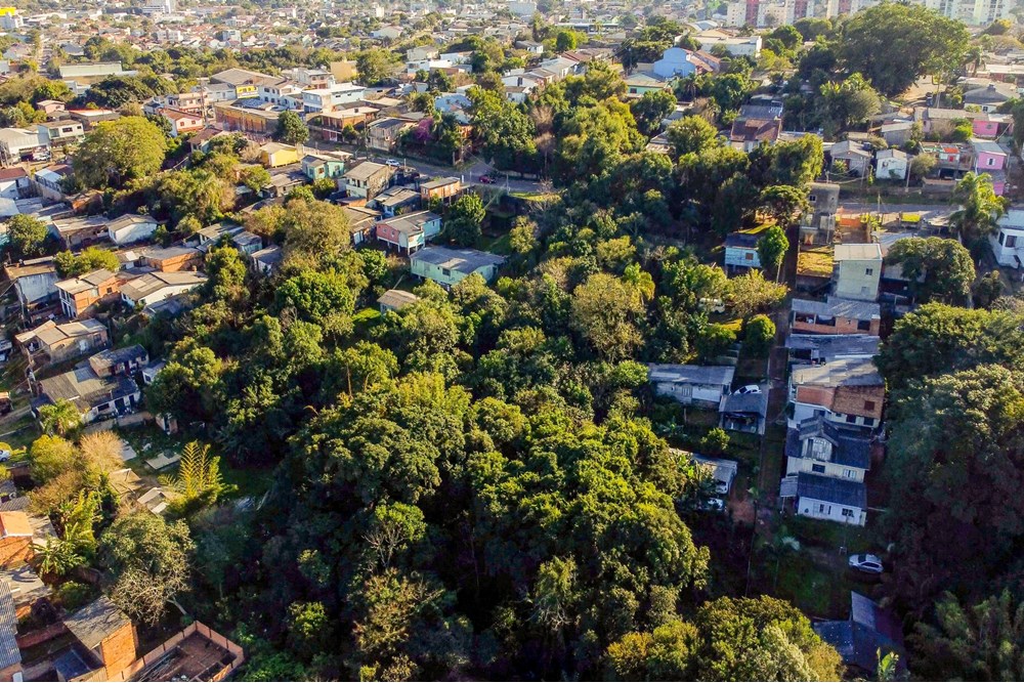 Terreno, 6251 m² - Foto 10