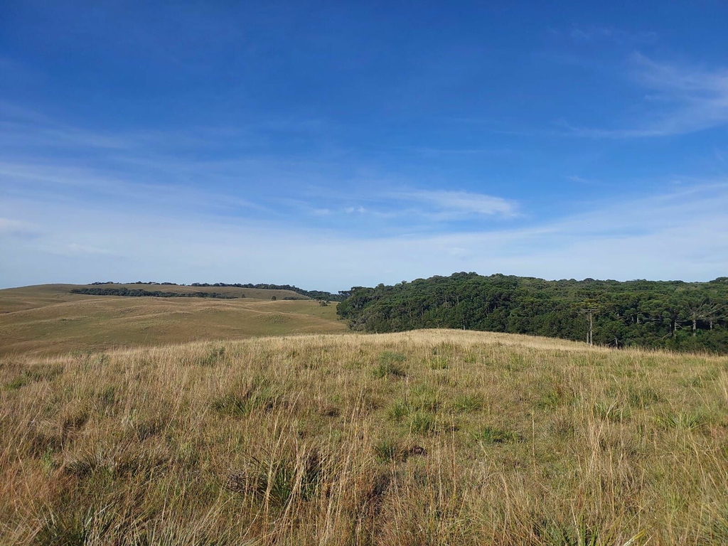 Fazenda à venda, 424m² - Foto 20