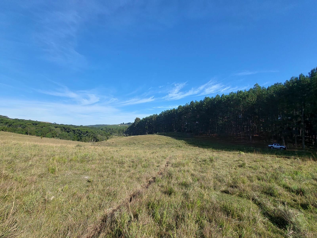 Fazenda, 1 m² - Foto 11