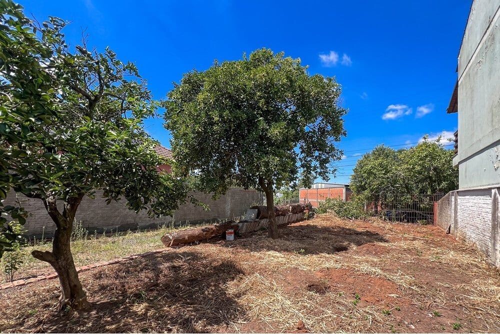 Terreno à venda - Foto 3
