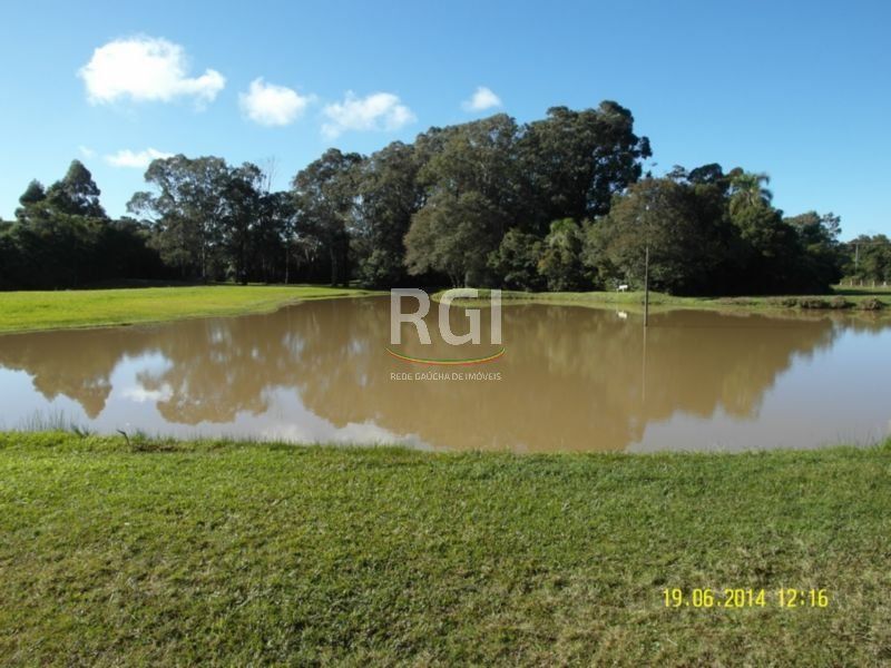 Terreno, 4 hectares - Foto 9