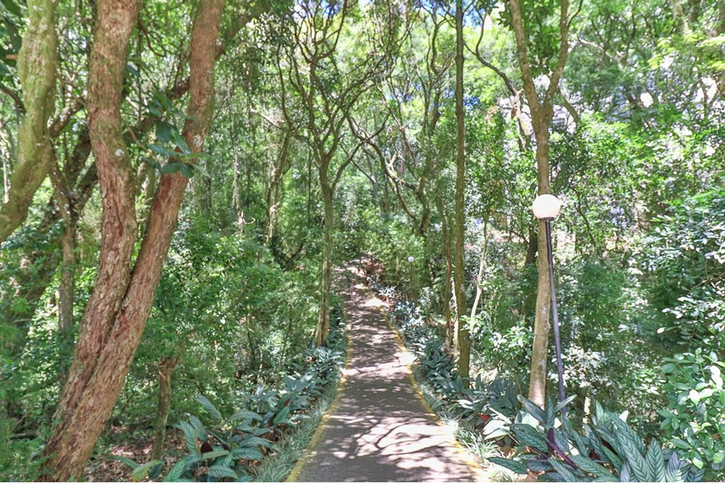 Apartamento, 3 quartos, 121 m² - Foto 16