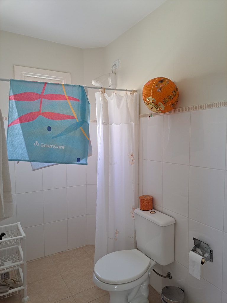 Casa, 4 quartos, 329 m² - Foto 11