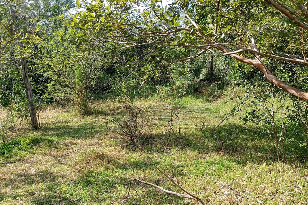 Sítio, 44076 m² - Foto 15