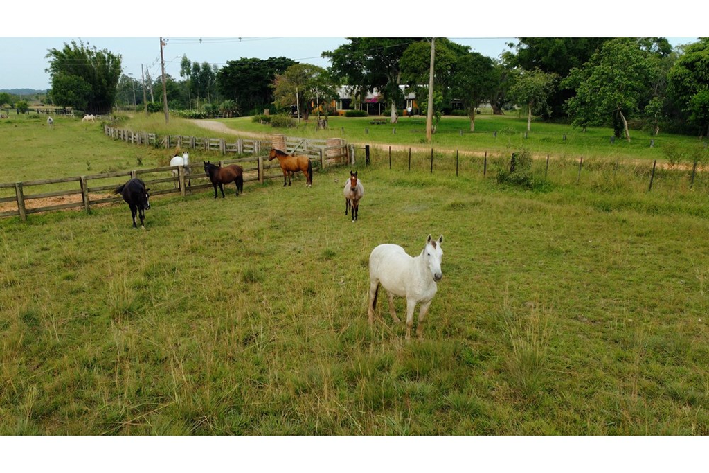 Fazenda, 1 m² - Foto 4