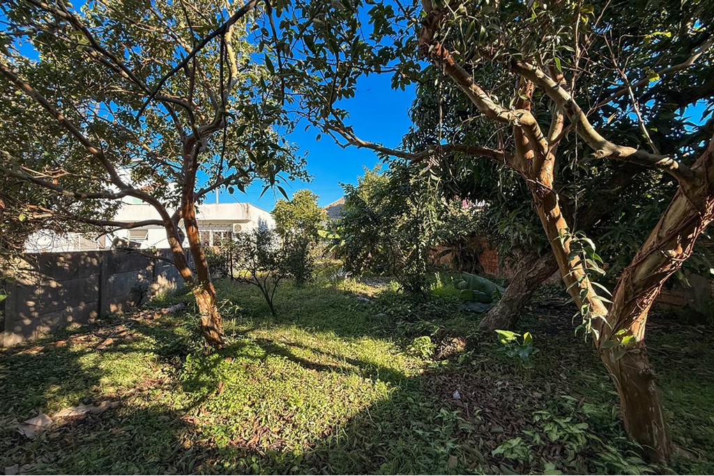 Terreno à venda - Foto 3