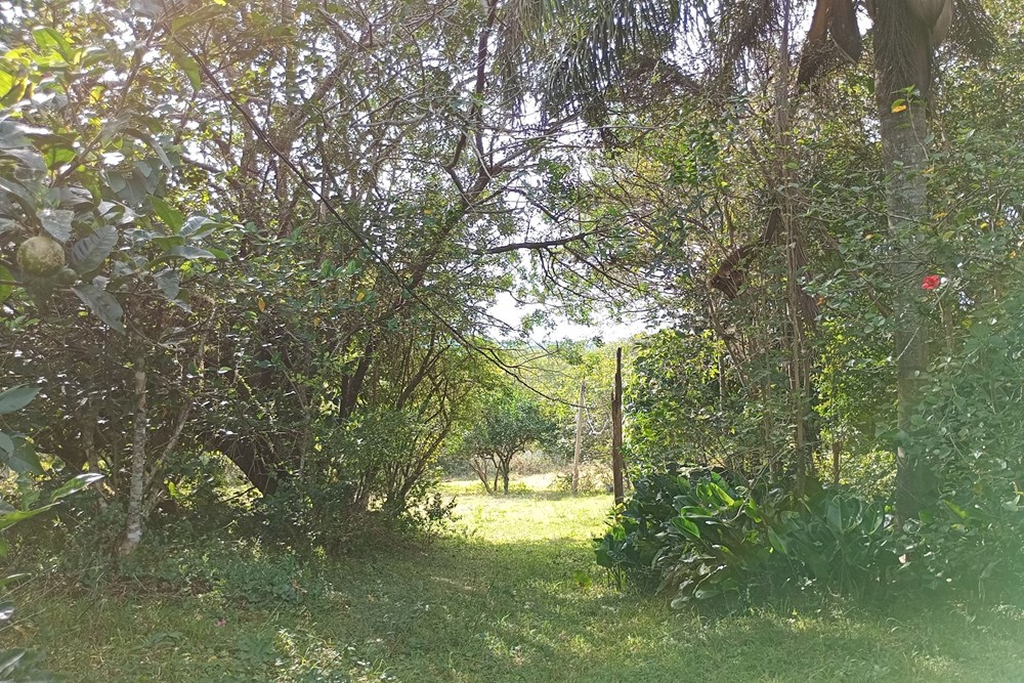 Sítio, 44076 m² - Foto 26