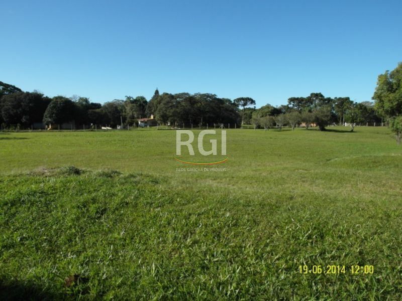 Terreno, 4 hectares - Foto 24