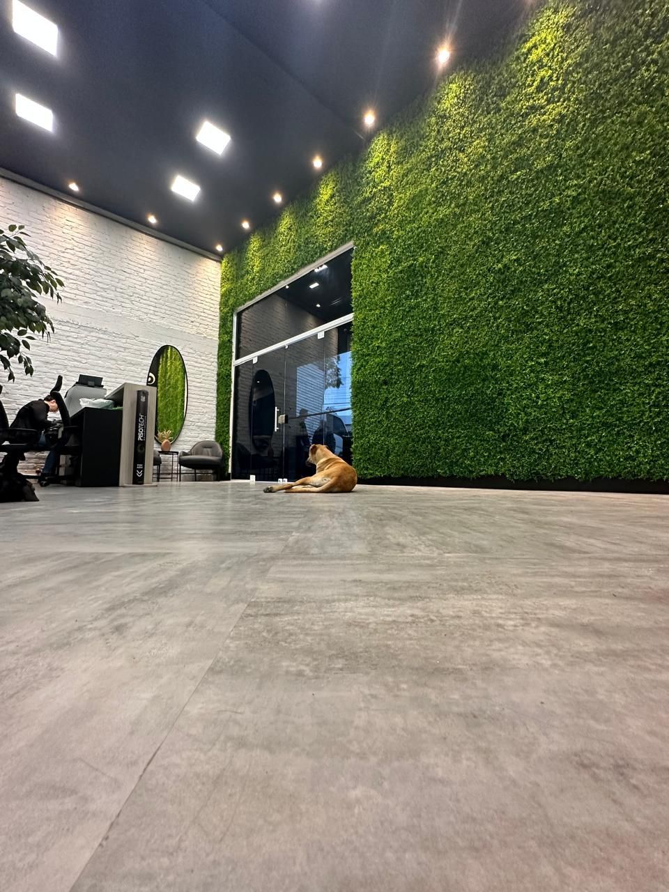 Prédio Inteiro, 777 m² - Foto 30