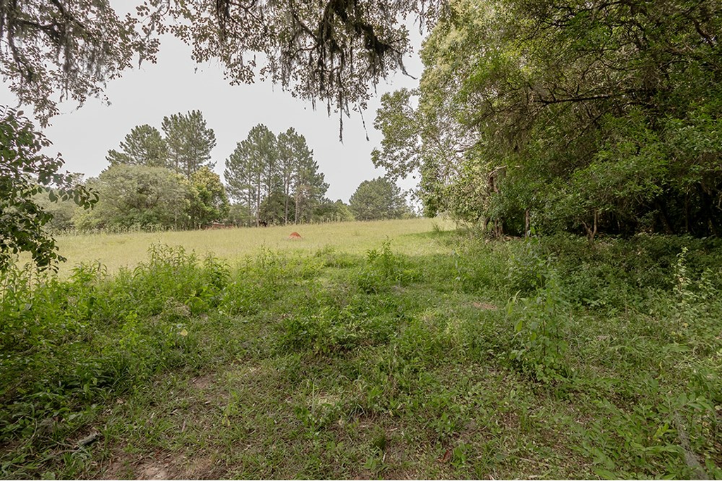 Terreno, 1 hectares - Foto 17