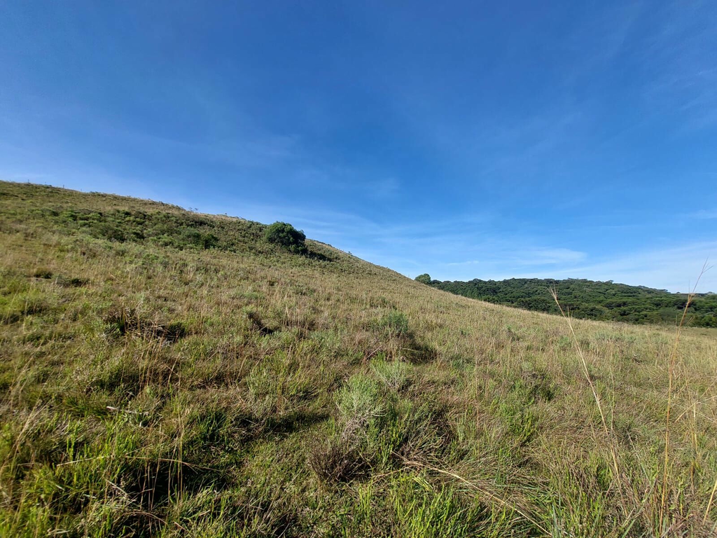 Fazenda, 1 m² - Foto 13