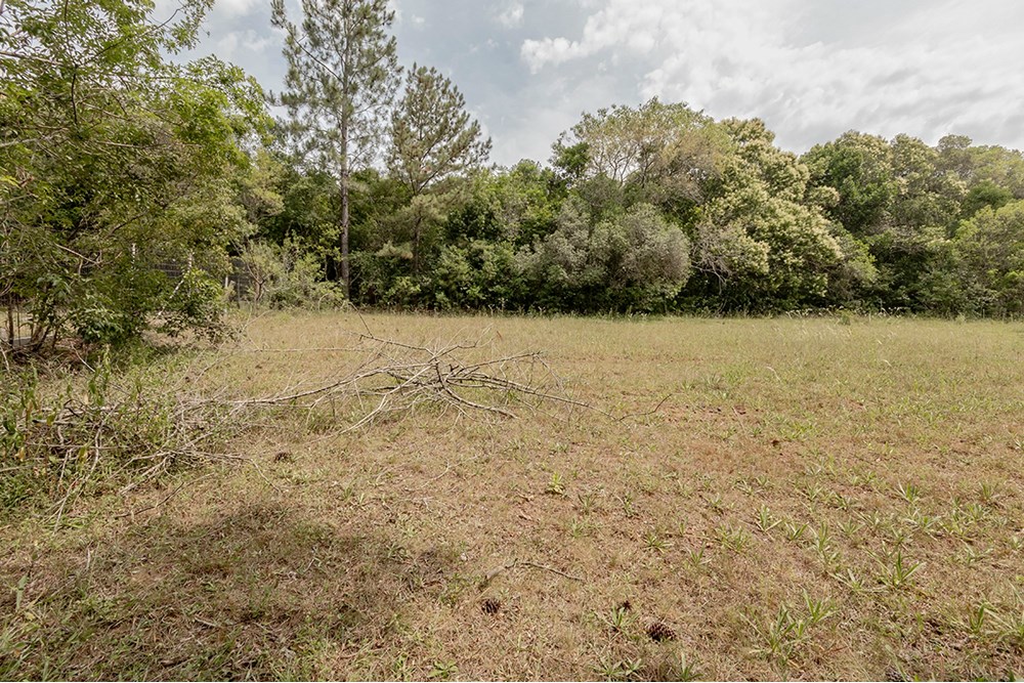 Terreno, 1 hectares - Foto 12