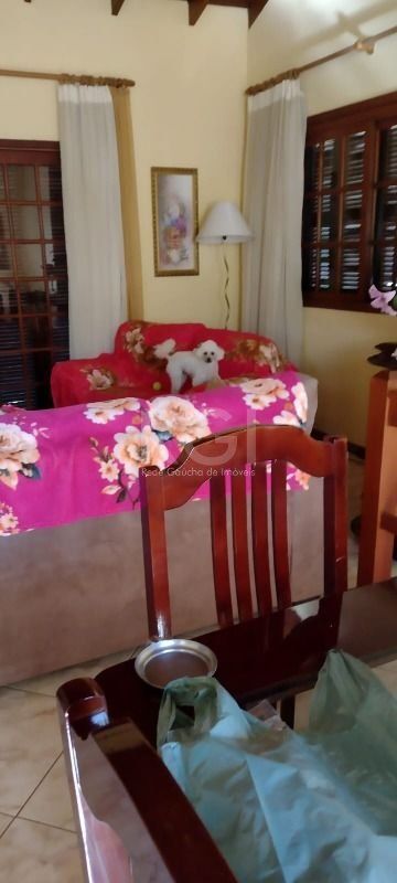 Sítio à venda com 3 quartos, 240m² - Foto 49