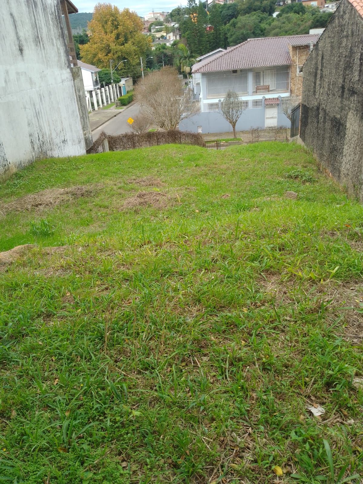 🌳 Excelente Terreno à venda