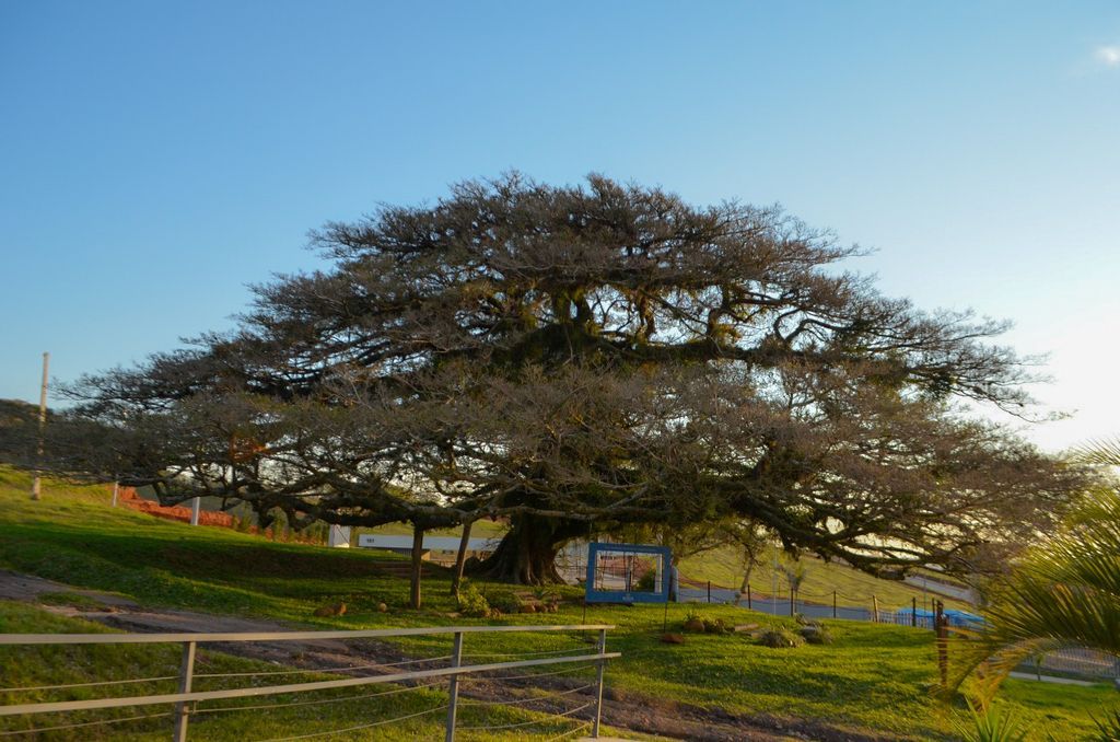Terreno à venda - Foto 18
