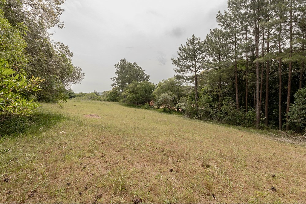 Terreno, 1 hectares - Foto 11