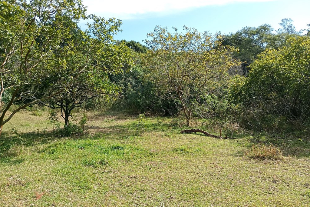 Sítio, 44076 m² - Foto 18
