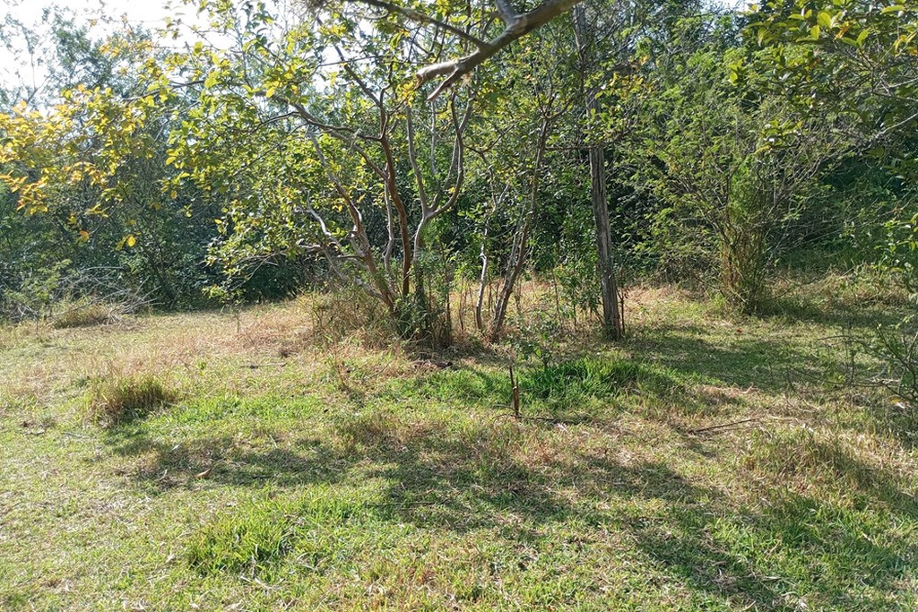 Sítio, 44076 m² - Foto 14