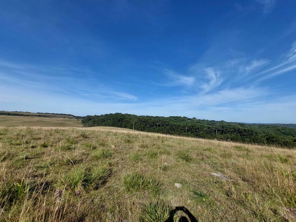 Fazenda à venda, 424m² - Foto 19