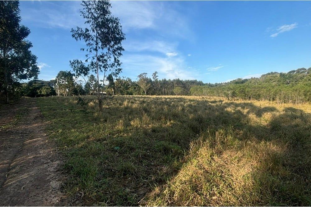 Fazenda à venda, 562998m² - Foto 11