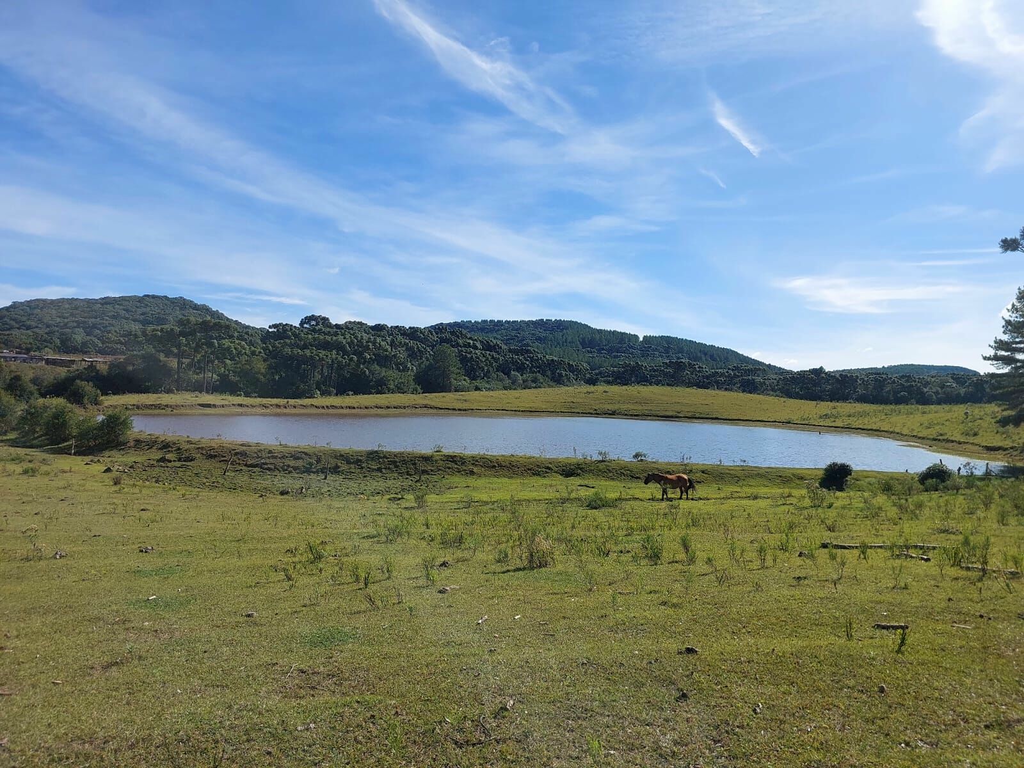Fazenda à venda, 424m² - Foto 3