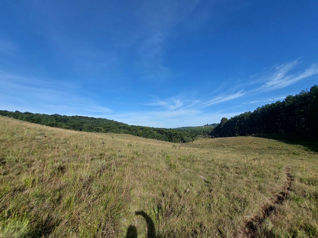 Fazenda, 1 m² - Foto 16