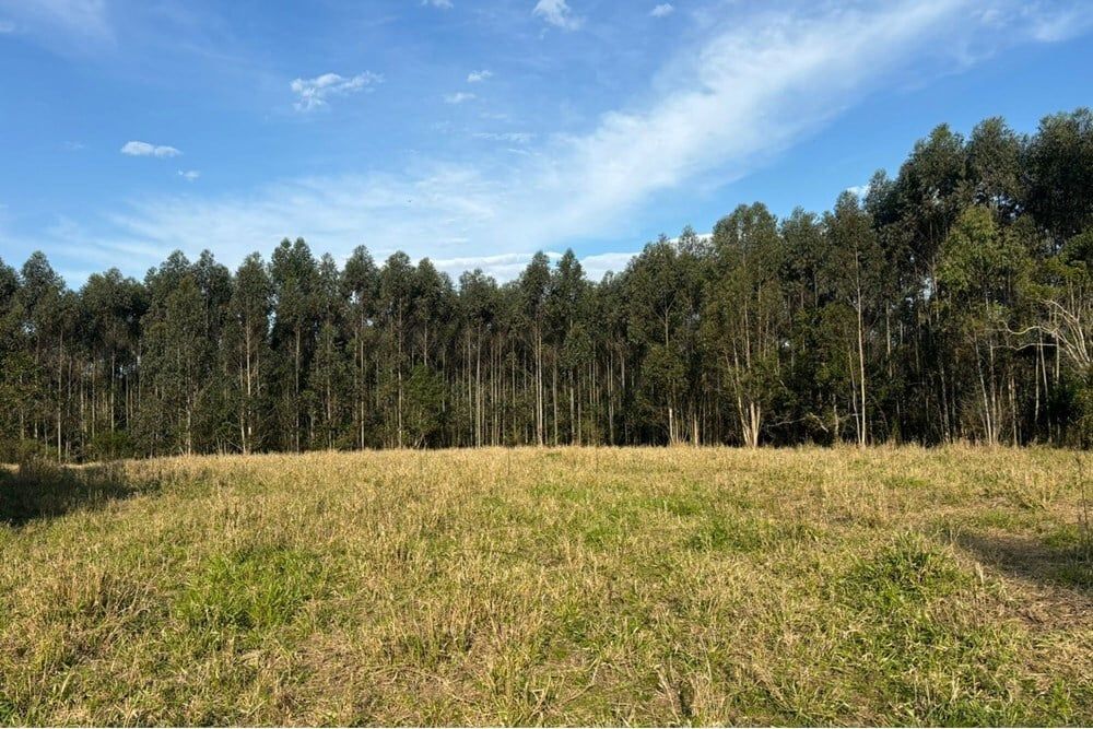 Fazenda à venda, 562998m² - Foto 7