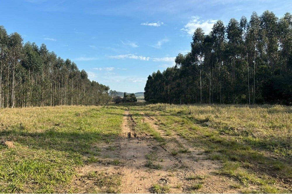 Fazenda à venda, 562998m² - Foto 9