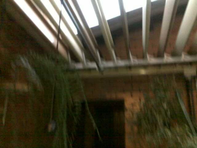 Casa à venda com 3 quartos, 350m² - Foto 91