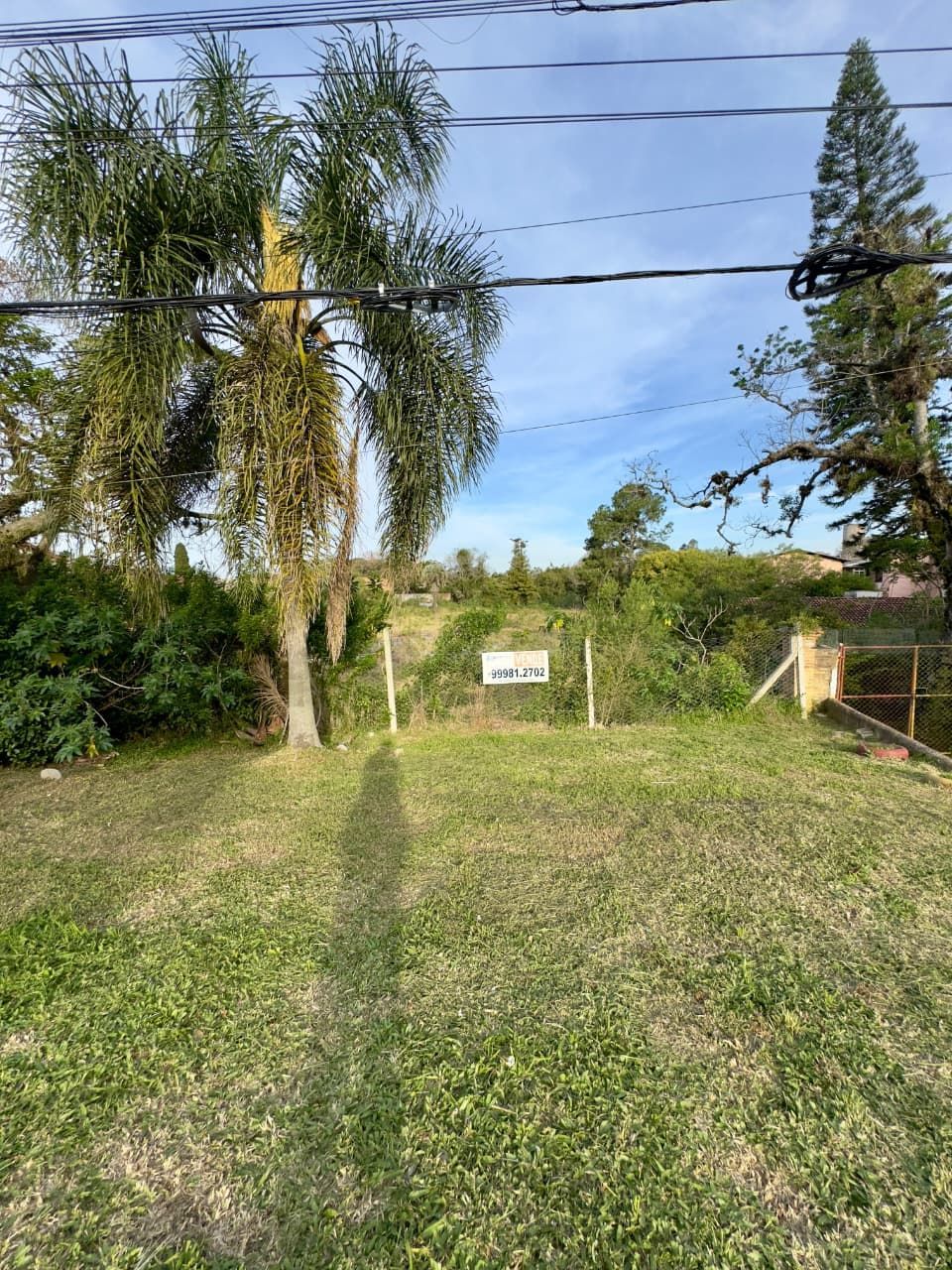 Terreno, 6952 m² - Foto 3