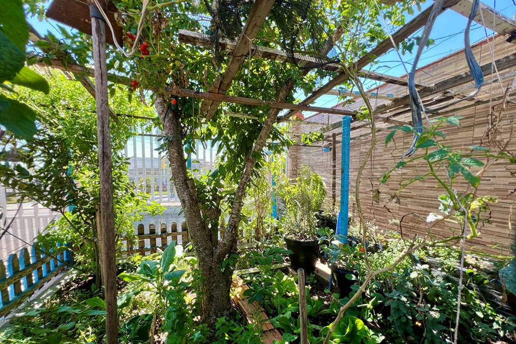 Casa, 4 quartos, 241 m² - Foto 18