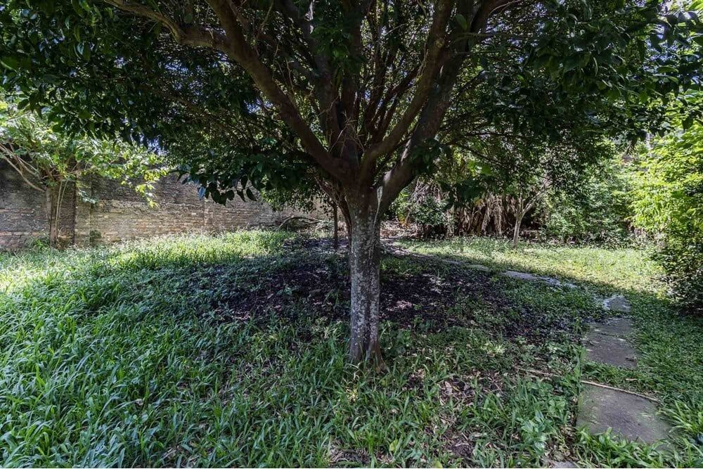 Casa, 3 quartos, 265 m² - Foto 21