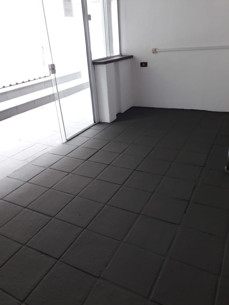 Casa, 3 quartos, 501 m² - Foto 19