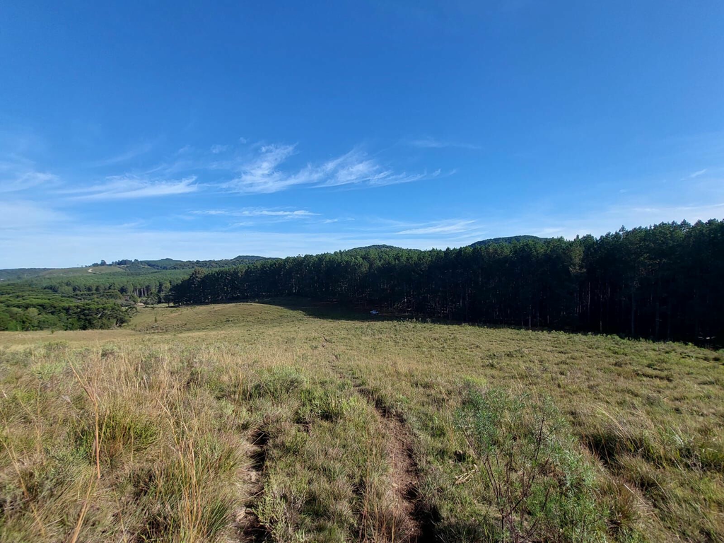 Fazenda, 1 m² - Foto 12