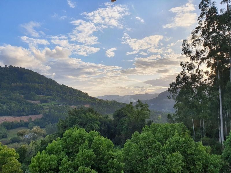 Chácara, 5 quartos, 5 hectares - Foto 28