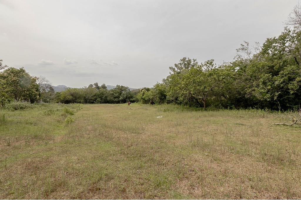 Terreno, 1 hectares - Foto 4