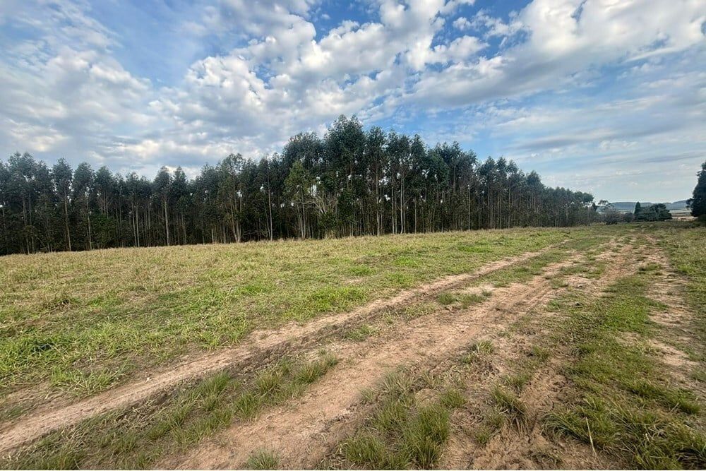 Fazenda à venda, 562998m² - Foto 21