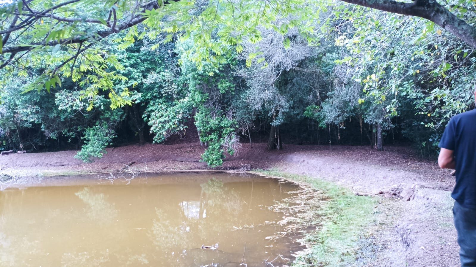 Sítio à venda com 3 quartos, 1m² - Foto 3
