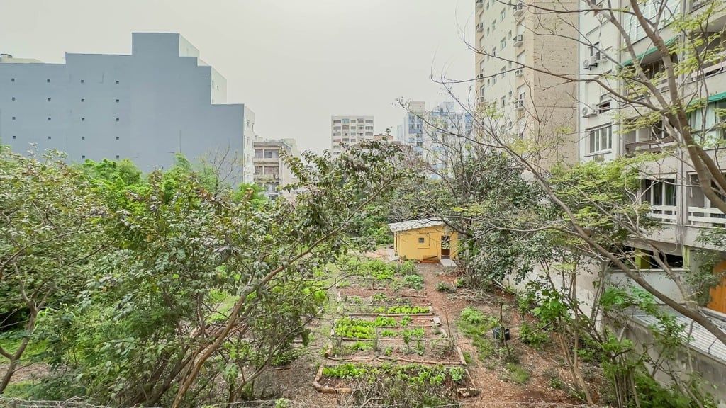 Apartamento, 3 quartos, 102 m² - Foto 17