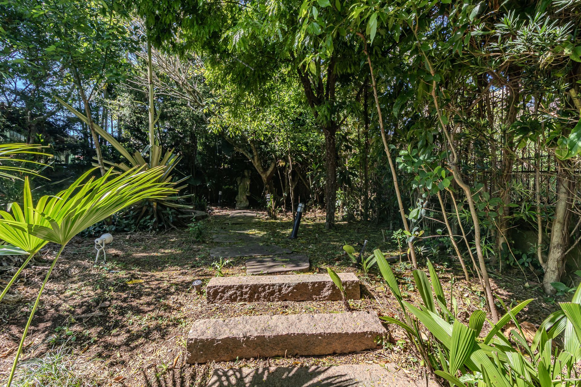 Casa, 4 quartos, 241 m² - Foto 33