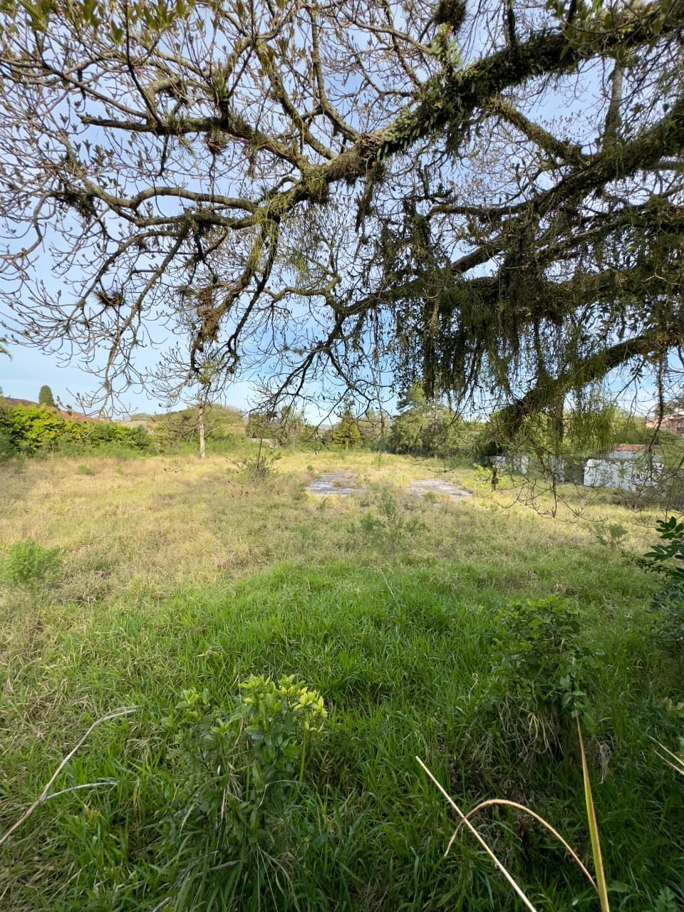 Terreno, 6952 m² - Foto 9