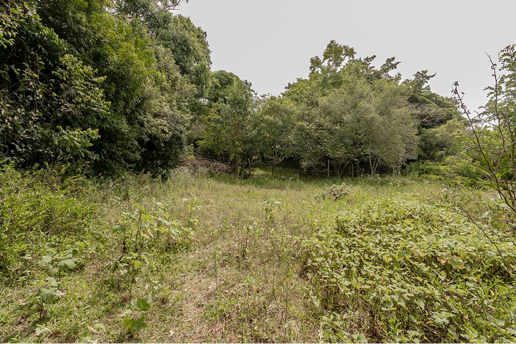 Terreno, 1 hectares - Foto 22