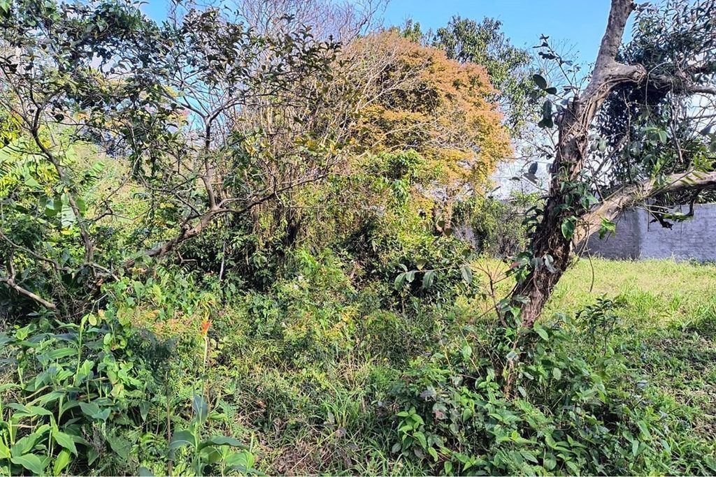Terreno, 261 m² - Foto 6