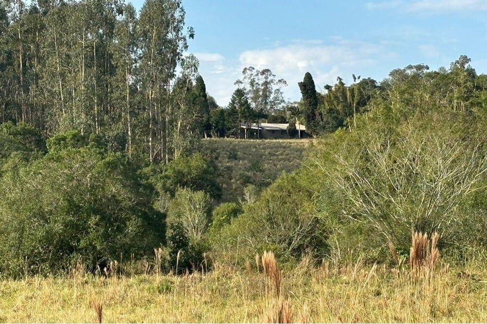 Fazenda à venda, 562998m² - Foto 19