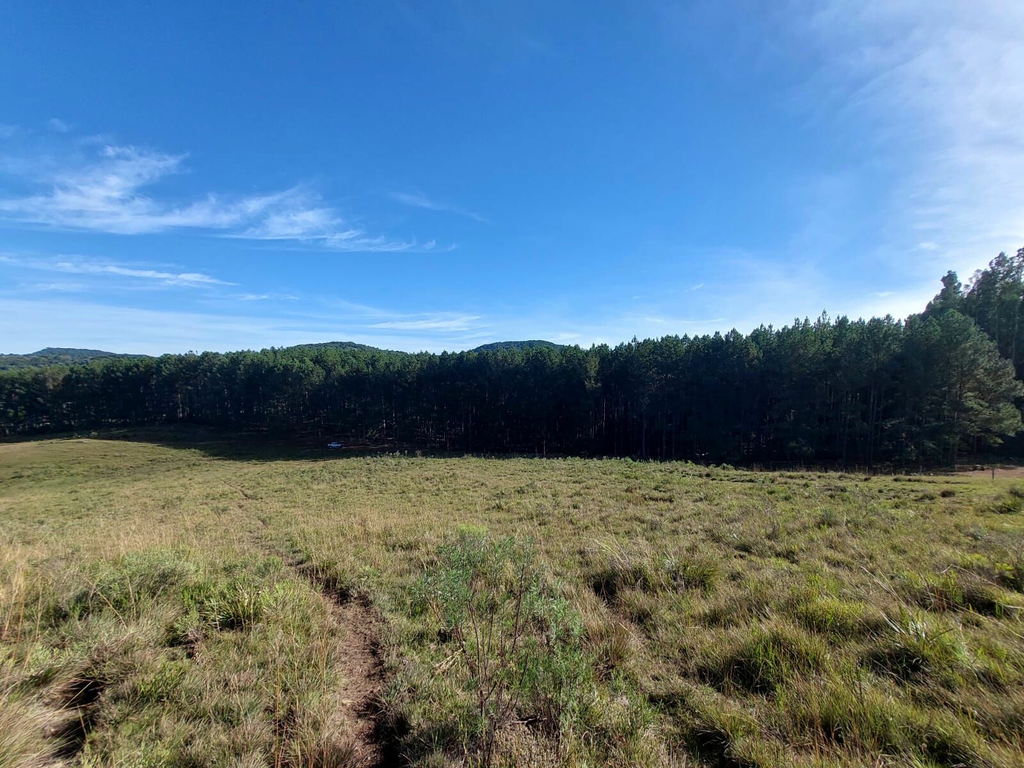 Fazenda à venda, 424m² - Foto 8
